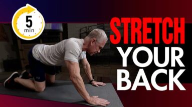 5 MINUTE Back Mobility And Stretch (Yoga and Core Exercises!)