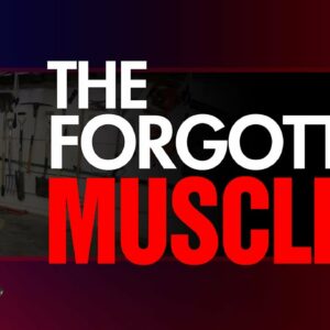 Forgotten Muscles And How To Work Them (NEW Exercises!)