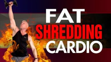 Low Impact Cardio Workout That Shreds Belly Fat (FOLLOW ALONG!)
